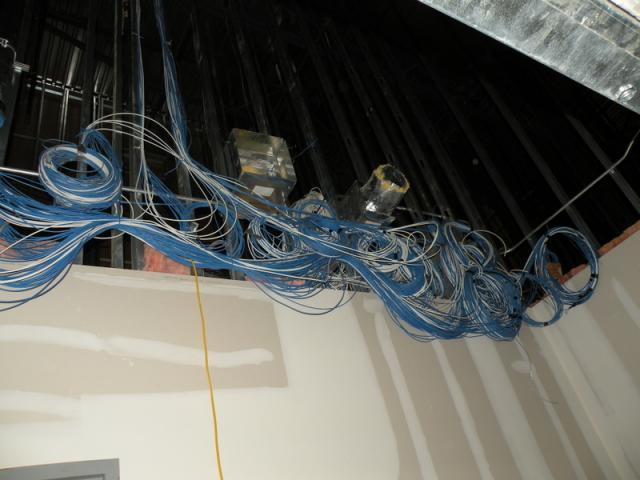 Nov 14 - Photo 1
